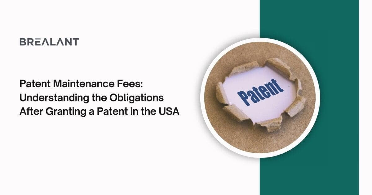 Patent Maintenance Fees: Understanding the Obligations After Granting a Patent in the USA